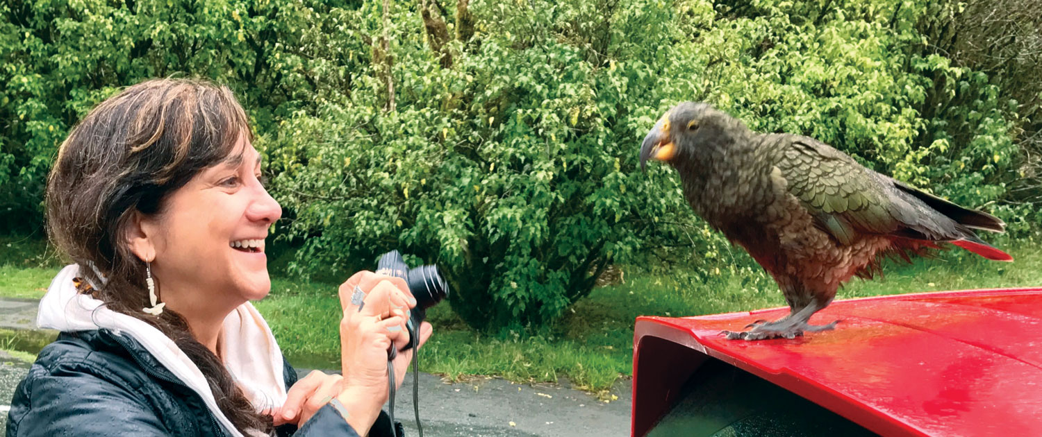 A woman taking a photo of a kea only 30cm away